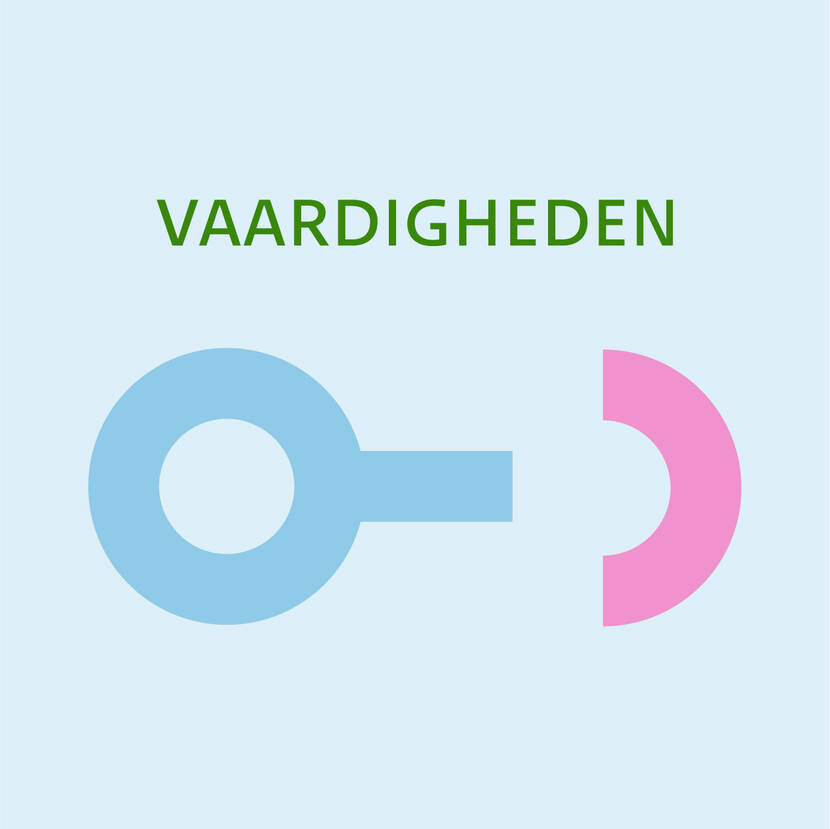 Icoon Maand van de Digitale Fitheid voor pijler vaardigheden t in beeld tekst 'Vaardigheden'